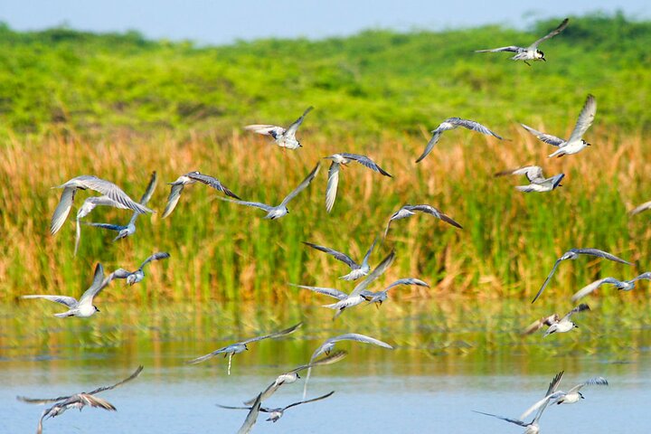 Anawilundawa Wetland Sanctuary